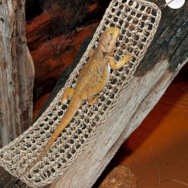 Silkfly 2 Pieces Bearded Dragon Hammock Lizard Reptile Climbing Lounger Seagrass Fiber Habitat Tank Accessories Jungle Toys for Hermit Crab Gecko Snake Iguana Amphibian - Image 5