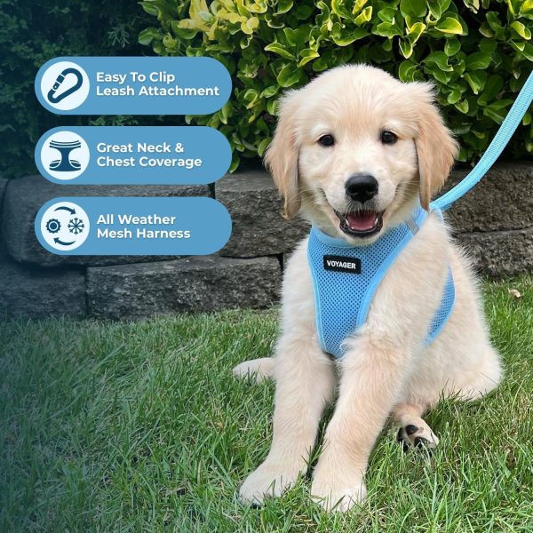 Voyager Step-in Air Dog Harness - All Weather Mesh, Reflective, No Pull Harness for Small, Medium Dogs, Cats - Secure with Hook & Loop Fastener, Buckle, Double D-Rings - Baby Blue, M - Image 3