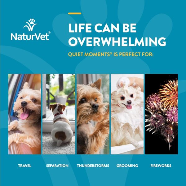 NaturVet Quiet Moments Calming Aid Melatonin Dog Supplement – Helps Reduce Stress in Dogs – for Pet Storm Anxiety, Fireworks, Motion Sickness, Grooming, Separation, Travel – 240 Ct. Chews - Image 4