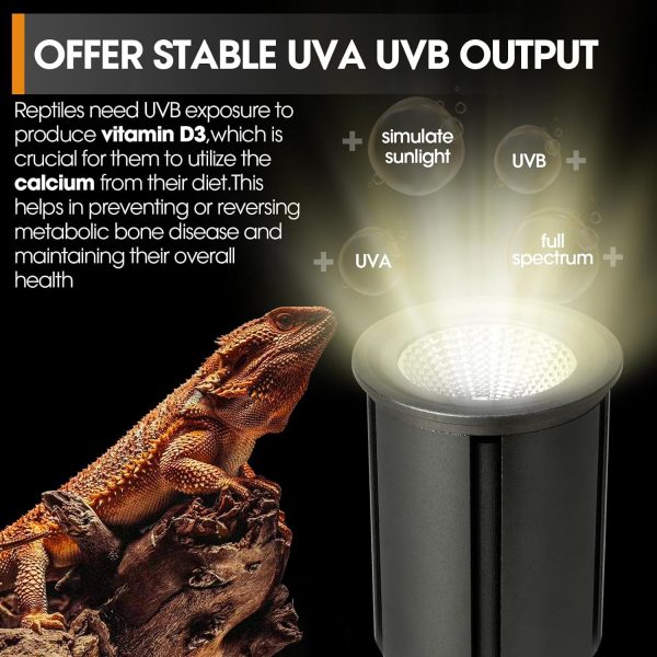 Premium UVB Reptile Light Full Spectrum for Optimal Calcium Metabolism,Desert 10.0 Bulb 3W UVA UVB Ideal for Desert-Dwelling Reptiles Bearded Dragons Tortoises - Image 2