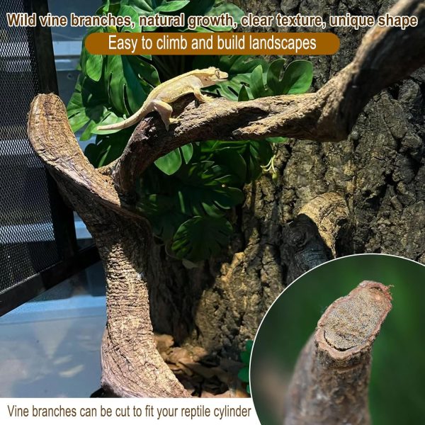 Reptile Decor Natural Forest Branch Terrarium Habitat Driftwood Decoration Lizard Climbing Tree Branch for Bearded Dragon Gecko Snake Frog Chameleon Spider 4PCS - Image 3