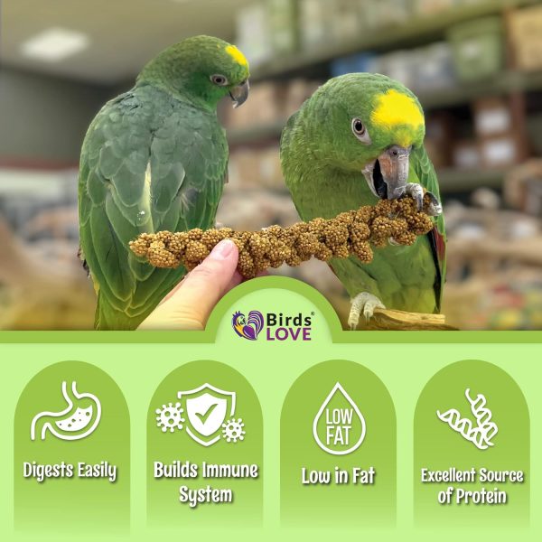 Birds LOVE French Kissed Spray Millet for Birds - Parakeets, Cockatiels, Lovebirds, Finches, Budgies, Canaries, Cockatoos - Natural & Healthy Bird Millet - Parakeet Food & Treats for All Parrots 2lbs - Image 7