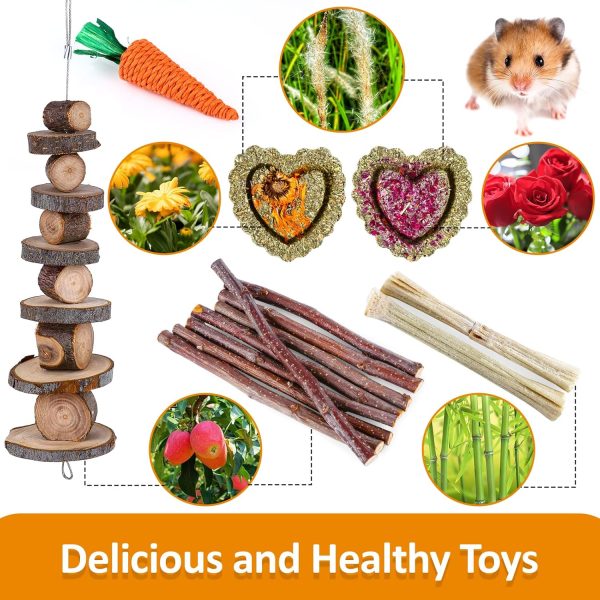 VESPRO Hamster Toys Set, Guinea Pig Toys Small Animal Chewing Toy and Rat Cage Accessories, Chinchillas, Gerbils, Rats, Rabbit Rodents Teeth Care, Apple Wood Timothy Hay Mouse Toy Swing Seesaw Bridge - Image 3