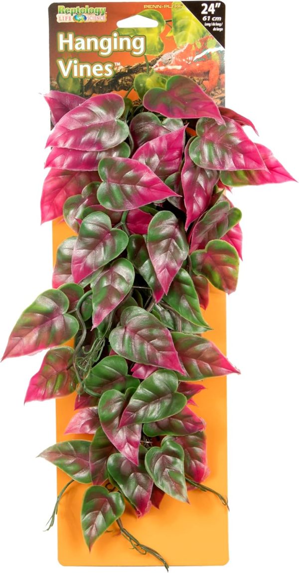 Penn-Plax Reptology Decorative Hanging Terrarium Plant Vines for Reptiles and Amphibians – 24” Length – Green & Red - Image 5