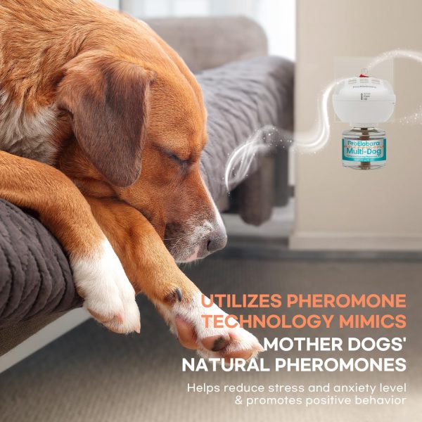 Dog Calming Pheromone Diffuser: Dog Calming Pheromones Plug Diffuser - Reduces Stress & Anxiety Calming Pheromone Diffuser for Dogs - Calm Dogs 60 Supply - Image 3