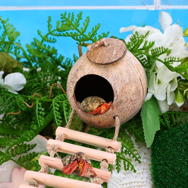 Hermit Crab Coconut Husk Hut with Branch Ladder,Coconut House Hermit Crab Shells Reptile Habitat,Coconut Nest Hangable Suitable for Animal Hiding Sleep (Coconut Shell) - Image 3