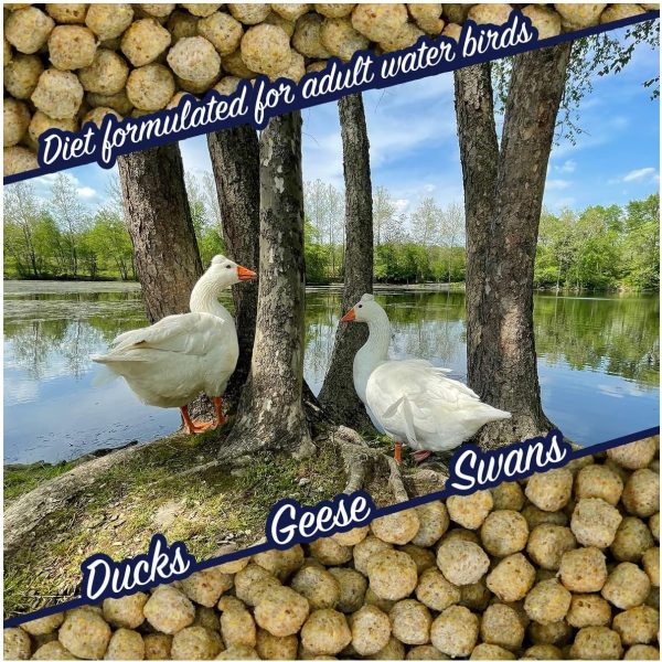 Natural Waterscapes Waterfowl Feed | Floating Pellets for Duck, Swan, Goose | 5 lb Resealable Bag | Use for Wild Duck, Pet Duck - Image 4