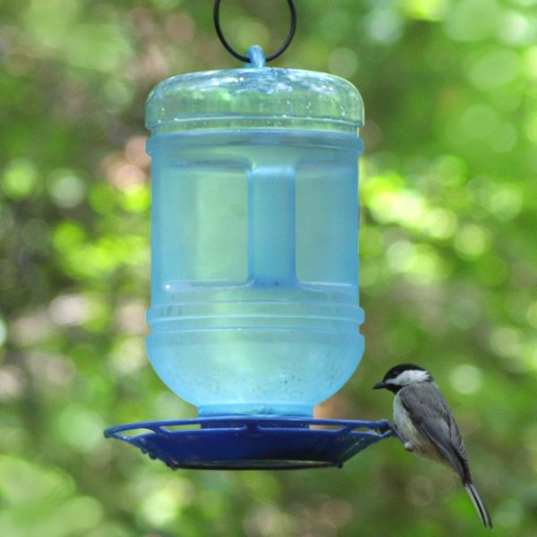 Perky-Pet 780 Outdoor Hanging Water Cooler Bird Waterer and Dispenser,Blue, 1.5 Qt Capacity - Image 3