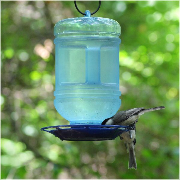 Perky-Pet 780 Outdoor Hanging Water Cooler Bird Waterer and Dispenser,Blue, 1.5 Qt Capacity - Image 2