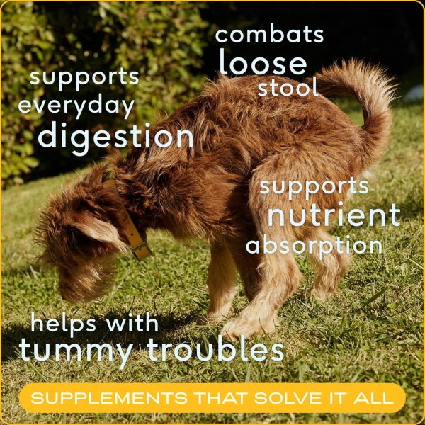 Native Pet Organic Pumpkin for Dogs (8 oz) - All-Natural, Organic Fiber for Dogs - Mix with Water to Create Delicious Pumpkin Puree - Prevent Waste with a Canned Pumpkin Alternative! (8 oz) - Image 3