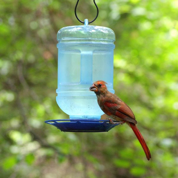 Perky-Pet 780 Outdoor Hanging Water Cooler Bird Waterer and Dispenser,Blue, 1.5 Qt Capacity - Image 8