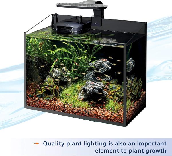 Aqueon Fish Tank Aquarium Plant Food, 17.4 oz - Image 6