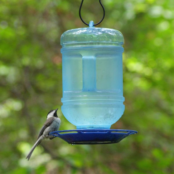 Perky-Pet 780 Outdoor Hanging Water Cooler Bird Waterer and Dispenser,Blue, 1.5 Qt Capacity - Image 4