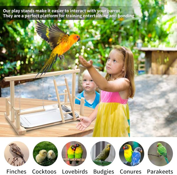 Natural Wood Bird Playground Parrot Perch Playstand Play Gym Stand Playpen Perches Ladder Swing Platform with Toys Exercise Playgym for Luonfels,Budgie,Cockatiels,Conures,Parakeets,Lovebird - Image 2