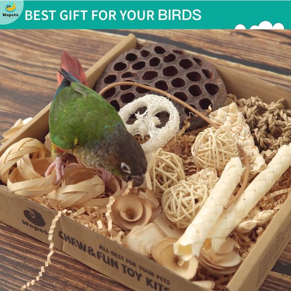 Natural Bird Foraging Toys & Parrot Toys Box Interactive Chewing and Foraging Toys for Parakeets, Cockatiels, Conures, Quakers, Sun Conure, and Other Small to Medium Bird shredding Toys - Image 6