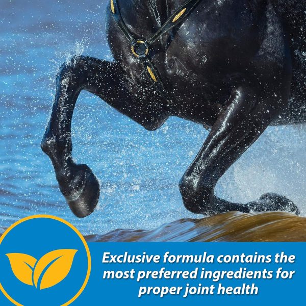 Farnam Fluidflex Liquid Joint Supplement for Horses, Helps Maintain Healthy Hip & Joint Function, 32 Ounces 32 Day Supply - Image 5