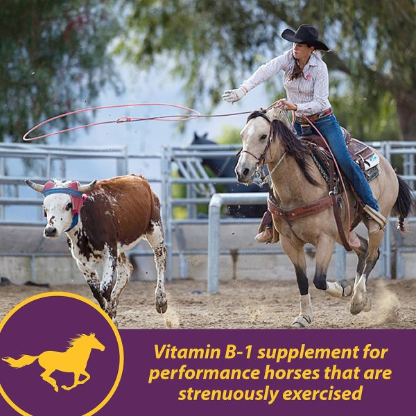 Farnam Horse Health Vita B-1 Crumbles Supplement for Horses, Supports optimal muscle activity and metabolism for performance, 3 pounds, 48 day supply - Image 2