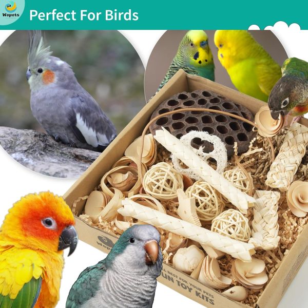 Natural Bird Foraging Toys & Parrot Toys Box Interactive Chewing and Foraging Toys for Parakeets, Cockatiels, Conures, Quakers, Sun Conure, and Other Small to Medium Bird shredding Toys - Image 3