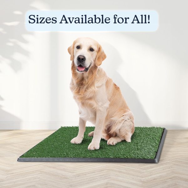 Artificial Grass Puppy Pee Pad for Dogs and Small Pets - 20x30 Reusable 3-Layer Training Potty Pad with Tray - Dog Housebreaking Supplies by PETMAKER - Image 2