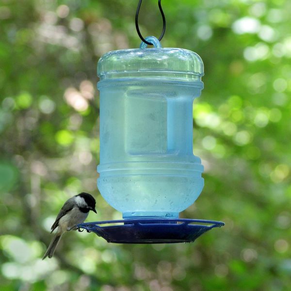 Perky-Pet 780 Outdoor Hanging Water Cooler Bird Waterer and Dispenser,Blue, 1.5 Qt Capacity - Image 9