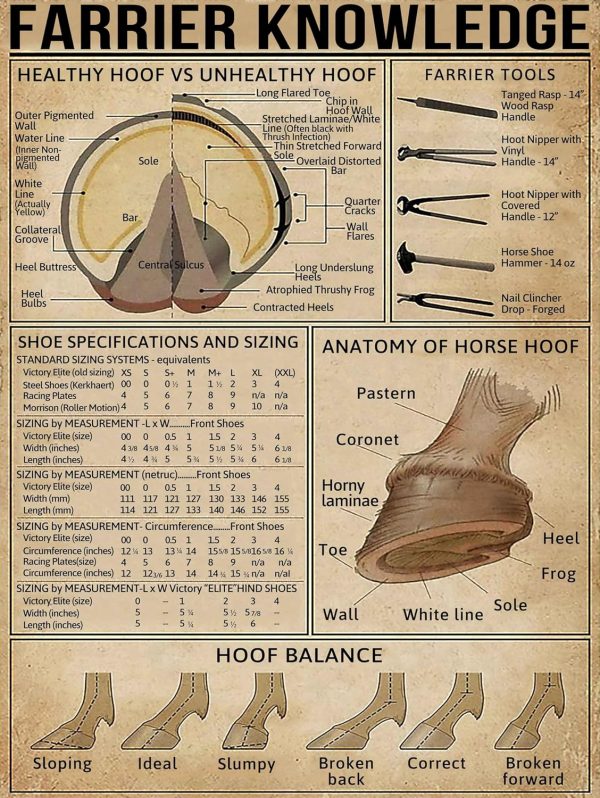 Farrier Knowledge Metal Tin Sign Anatomy Of Horse Hoof Retro Poster Country Farm Club School Education Living Room Kitchen Home Art Wall Decoration Plaque Gift