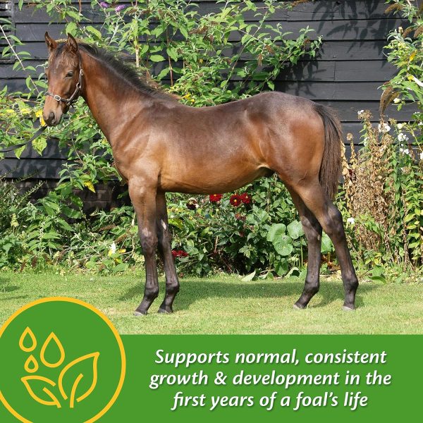 Farnam Grow Colt Supplement for Growth & Development, Supports Normal, consistent Growth in First Years of foal's Life, 3.75 lbs., 30 Day Supply - Image 2